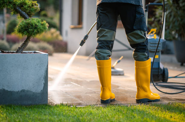 Best House Pressure Washing  in Krugerville, TX